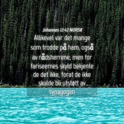 Picture 04 - Johannes 12:42 NORSK - Allikevel var det mange som trodde på ham, også - Bible Verse Picture