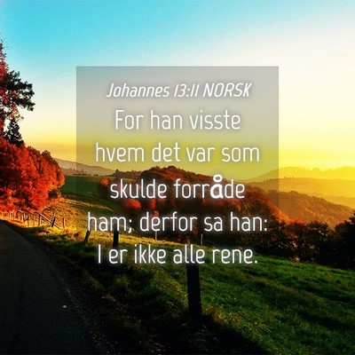 Picture 04 - Johannes 13:11 NORSK - For han visste hvem det var som skulde forråde - Bible Verse Picture