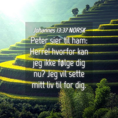 Picture 04 - Johannes 13:37 NORSK - Peter sier til ham: Herre! hvorfor kan jeg ikke - Bible Verse Picture
