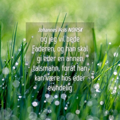 Picture 04 - Johannes 14:16 NORSK - og jeg vil bede Faderen, og han skal gi eder en - Bible Verse Picture