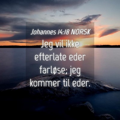 Picture 04 - Johannes 14:18 NORSK - Jeg vil ikke efterlate eder farløse; jeg kommer - Bible Verse Picture