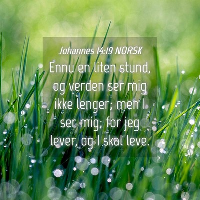 Picture 04 - Johannes 14:19 NORSK - Ennu en liten stund, og verden ser mig ikke - Bible Verse Picture
