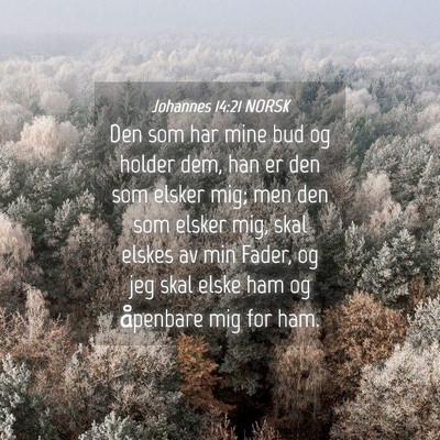 Picture 04 - Johannes 14:21 NORSK - Den som har mine bud og holder dem, han er den - Bible Verse Picture