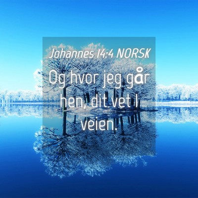 Picture 04 - Johannes 14:4 NORSK - Og hvor jeg går hen, dit vet I - Bible Verse Picture