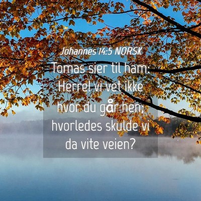 Picture 04 - Johannes 14:5 NORSK - Tomas sier til ham: Herre! vi vet ikke hvor du - Bible Verse Picture
