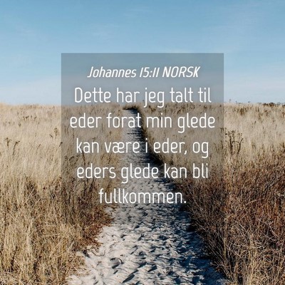 Picture 04 - Johannes 15:11 NORSK - Dette har jeg talt til eder forat min glede kan - Bible Verse Picture