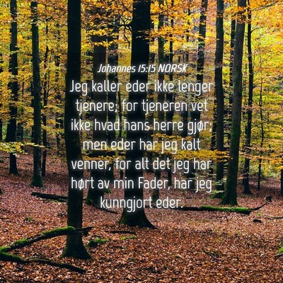 Picture 04 - Johannes 15:15 NORSK - Jeg kaller eder ikke lenger tjenere; for tjeneren - Bible Verse Picture