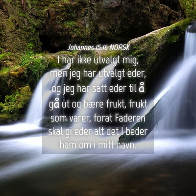 Picture 04 - Johannes 15:16 NORSK - I har ikke utvalgt mig, men jeg har utvalgt eder, - Bible Verse Picture