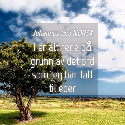 Picture 04 - Johannes 15:3 NORSK - I er alt rene på grunn av det ord som jeg har - Bible Verse Picture
