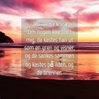 Picture 04 - Johannes 15:6 NORSK - Om nogen ikke blir i mig, da kastes han ut som en - Bible Verse Picture
