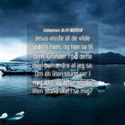 Picture 04 - Johannes 16:19 NORSK - Jesus visste at de vilde spørre ham, og han sa - Bible Verse Picture