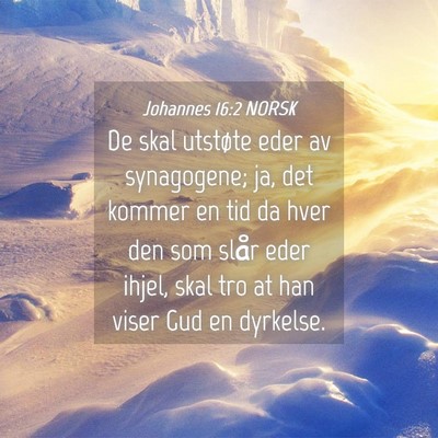 Picture 04 - Johannes 16:2 NORSK - De skal utstøte eder av synagogene; ja, det - Bible Verse Picture