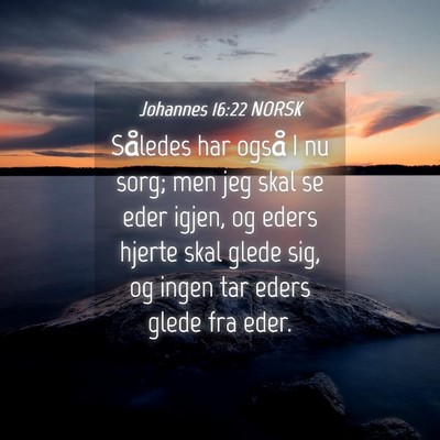 Picture 04 - Johannes 16:22 NORSK - Således har også I nu sorg; men jeg skal se - Bible Verse Picture
