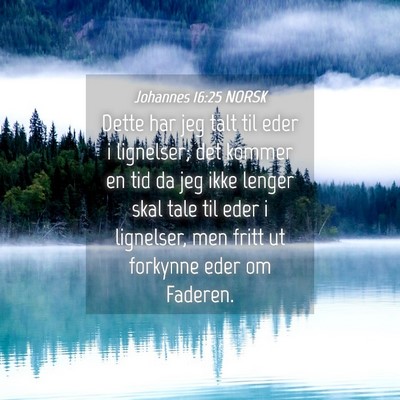 Picture 04 - Johannes 16:25 NORSK - Dette har jeg talt til eder i lignelser; det - Bible Verse Picture