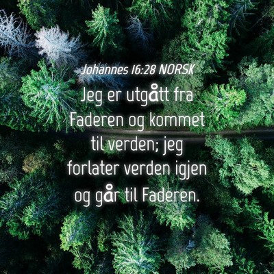Picture 04 - Johannes 16:28 NORSK - Jeg er utgått fra Faderen og kommet til verden; - Bible Verse Picture