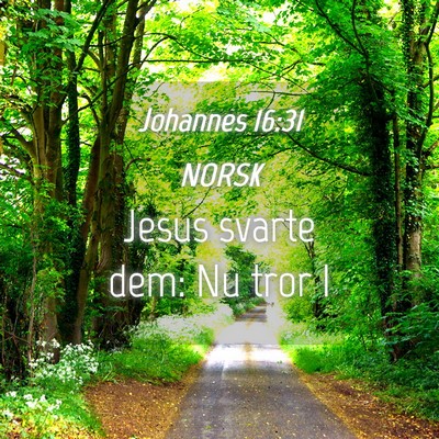 Picture 04 - Johannes 16:31 NORSK - Jesus svarte dem: Nu tror - Bible Verse Picture
