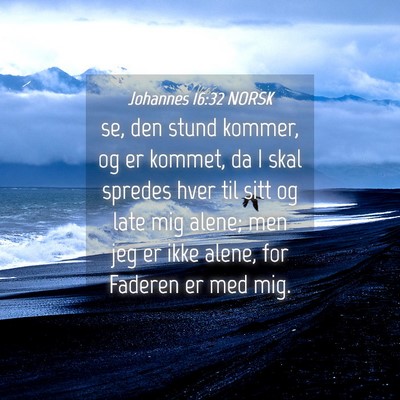 Picture 04 - Johannes 16:32 NORSK - se, den stund kommer, og er kommet, da I skal - Bible Verse Picture