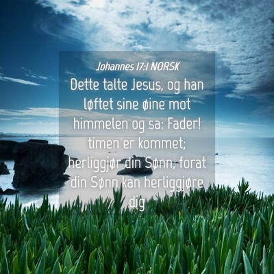 Picture 04 - Johannes 17:1 NORSK - Dette talte Jesus, og han løftet sine øine mot - Bible Verse Picture