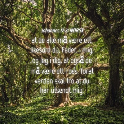 Picture 04 - Johannes 17:21 NORSK - at de alle må være ett, likesom du, Fader, i - Bible Verse Picture