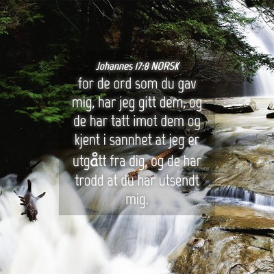 Picture 04 - Johannes 17:8 NORSK - for de ord som du gav mig, har jeg gitt dem, og - Bible Verse Picture