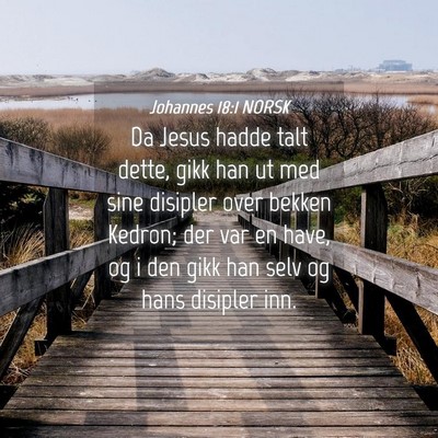 Picture 04 - Johannes 18:1 NORSK - Da Jesus hadde talt dette, gikk han ut med sine - Bible Verse Picture