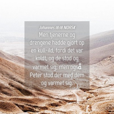 Picture 04 - Johannes 18:18 NORSK - Men tjenerne og drengene hadde gjort op en - Bible Verse Picture