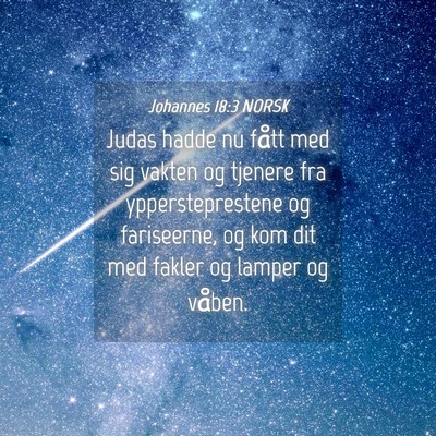 Picture 04 - Johannes 18:3 NORSK - Judas hadde nu fått med sig vakten og tjenere - Bible Verse Picture