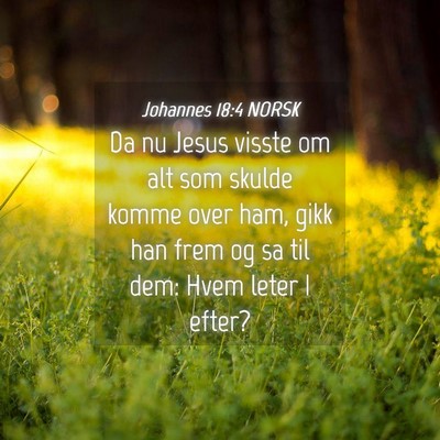 Picture 04 - Johannes 18:4 NORSK - Da nu Jesus visste om alt som skulde komme over - Bible Verse Picture