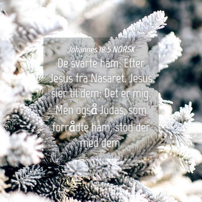 Picture 04 - Johannes 18:5 NORSK - De svarte ham: Efter Jesus fra Nasaret. Jesus - Bible Verse Picture