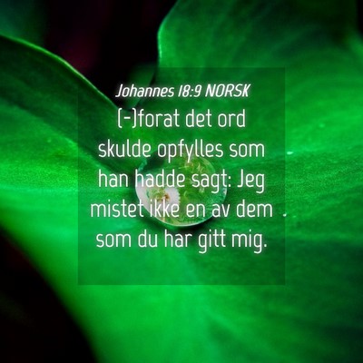 Picture 04 - Johannes 18:9 NORSK - (-)forat det ord skulde opfylles som han hadde - Bible Verse Picture