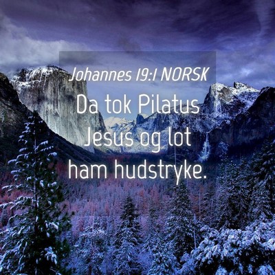 Picture 04 - Johannes 19:1 NORSK - Da tok Pilatus Jesus og lot ham - Bible Verse Picture