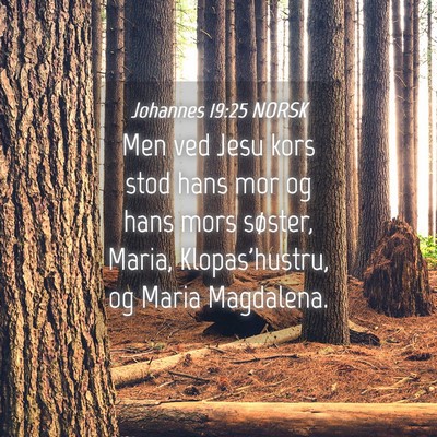 Picture 04 - Johannes 19:25 NORSK - Men ved Jesu kors stod hans mor og hans mors - Bible Verse Picture
