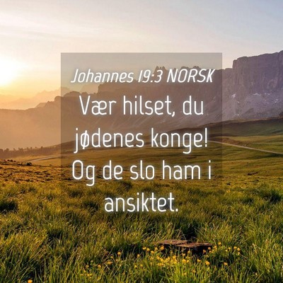 Picture 04 - Johannes 19:3 NORSK - Vær hilset, du jødenes konge! Og de slo ham i - Bible Verse Picture