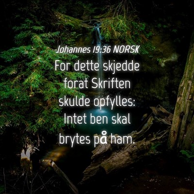 Picture 04 - Johannes 19:36 NORSK - For dette skjedde forat Skriften skulde opfylles: - Bible Verse Picture