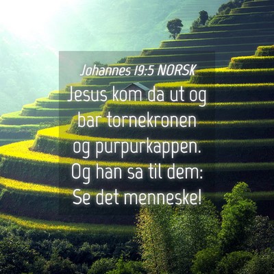 Picture 04 - Johannes 19:5 NORSK - Jesus kom da ut og bar tornekronen og - Bible Verse Picture