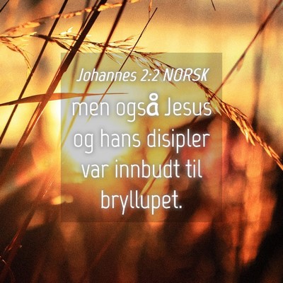 Picture 04 - Johannes 2:2 NORSK - men også Jesus og hans disipler var innbudt til - Bible Verse Picture