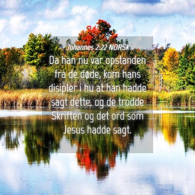 Picture 04 - Johannes 2:22 NORSK - Da han nu var opstanden fra de døde, kom hans - Bible Verse Picture