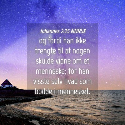 Picture 04 - Johannes 2:25 NORSK - og fordi han ikke trengte til at nogen skulde - Bible Verse Picture