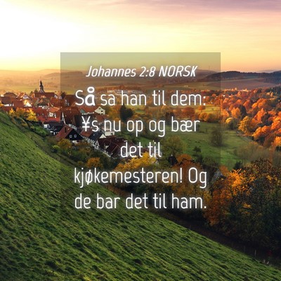 Picture 04 - Johannes 2:8 NORSK - Så sa han til dem: ¥s nu op og bær det til - Bible Verse Picture