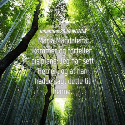 Picture 04 - Johannes 20:18 NORSK - Maria Magdalena kommer og forteller disiplene: - Bible Verse Picture