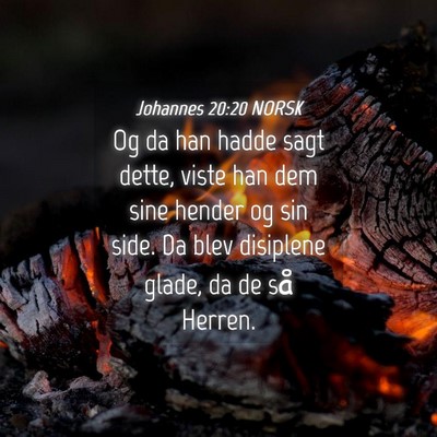 Picture 04 - Johannes 20:20 NORSK - Og da han hadde sagt dette, viste han dem sine - Bible Verse Picture