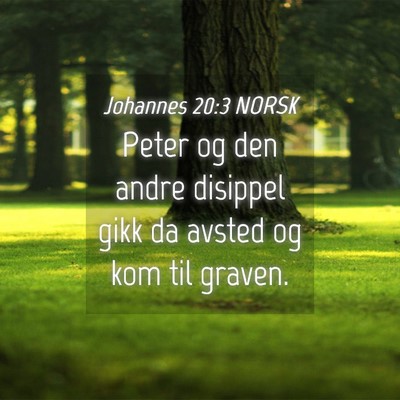 Picture 04 - Johannes 20:3 NORSK - Peter og den andre disippel gikk da avsted og kom - Bible Verse Picture