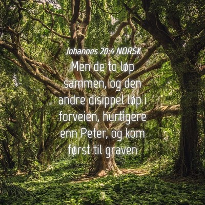 Picture 04 - Johannes 20:4 NORSK - Men de to løp sammen, og den andre disippel løp - Bible Verse Picture