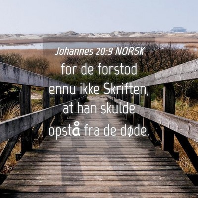 Picture 04 - Johannes 20:9 NORSK - for de forstod ennu ikke Skriften, at han skulde - Bible Verse Picture