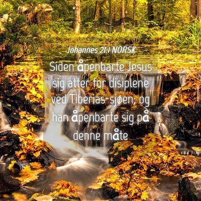 Picture 04 - Johannes 21:1 NORSK - Siden åpenbarte Jesus sig atter for disiplene - Bible Verse Picture