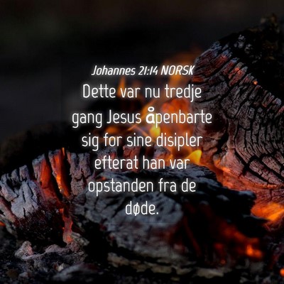 Picture 04 - Johannes 21:14 NORSK - Dette var nu tredje gang Jesus åpenbarte sig for - Bible Verse Picture