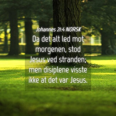 Picture 04 - Johannes 21:4 NORSK - Da det alt led mot morgenen, stod Jesus ved - Bible Verse Picture