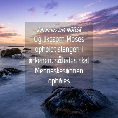 Picture 04 - Johannes 3:14 NORSK - Og likesom Moses ophøiet slangen i ørkenen, - Bible Verse Picture