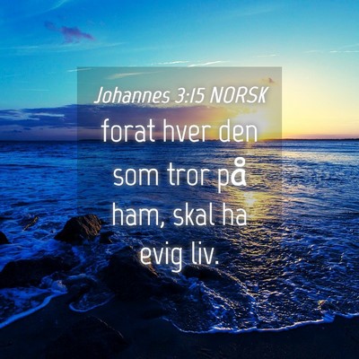 Picture 04 - Johannes 3:15 NORSK - forat hver den som tror på ham, skal ha evig - Bible Verse Picture