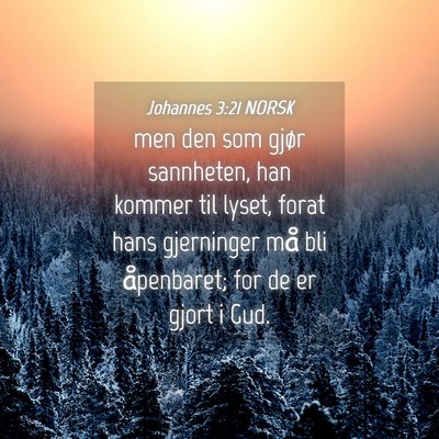 Picture 04 - Johannes 3:21 NORSK - men den som gjør sannheten, han kommer til - Bible Verse Picture